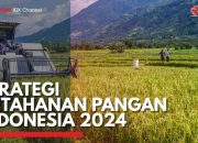 Ketahanan Pangan Indonesia di Masa Perang Dunia 3 Antisipasi dan Adaptasi