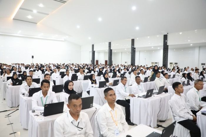 Aplikasi cek hasil seleksi PPPK non ASN 2024