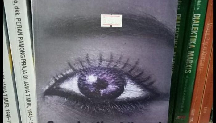 Permasalahan Budiman di Mare Analisis Mendalam Isu-Isu Utama