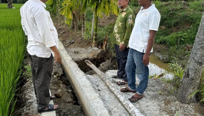 Lagi, PTPN IV Regional 6 Diduga Serobot Lahan Warga, Irigasi Sawah Rusak Parah
