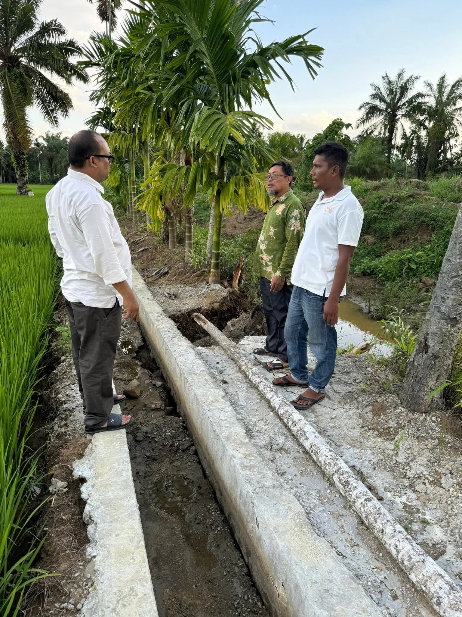 Pengerukan batas lahan oleh alat berat milik PTPN IV Regional 6 di Desa Pandan Sari, Aceh Tamiang