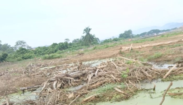 HGU PT Parama Agro Diduga Tumpang Tindih Kawasan Hutan, DLH Aceh Timur Siap Turun Tangan