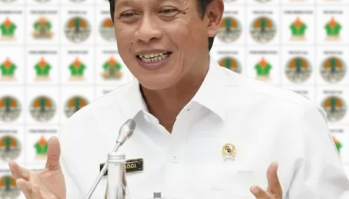 Standar Ganda Penegakan Lingkungan? PTPN Distop di Sumut, Aktivitas PTPN di Aceh Tamiang Tak Tersentuh