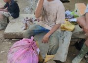 Di Bawah Putaran Baling-Baling, Anak Itu Berebut Makanan di Tanahya sendiri