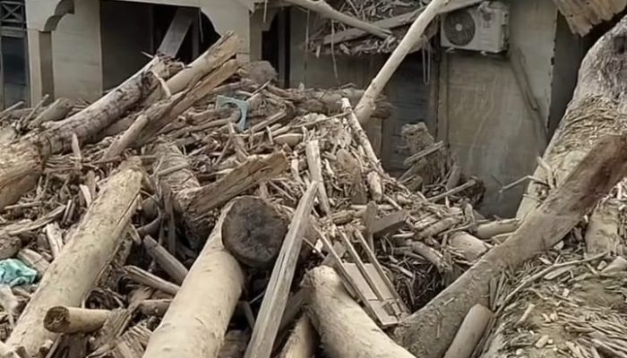 Kementerian Kehutanan Izinkan Pemanfaatan Kayu Hanyutan untuk Pemulihan Pascabanjir di Aceh dan Sumatera