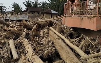 Dua Indikator Utama Penyebab Banjir Bandang Aceh Tamiang, Gadjah Puteh Soroti Kerusakan DAS