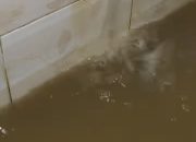 Warga Keluhkan Air PDAM Keruh, Gadjah Puteh Desak Bupati Aceh Tamiang Copot Plt Direktur PDAM