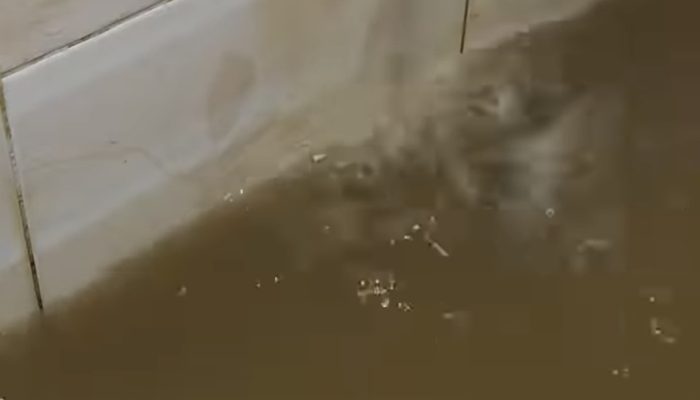 Warga Keluhkan Air PDAM Keruh, Gadjah Puteh Desak Bupati Aceh Tamiang Copot Plt Direktur PDAM