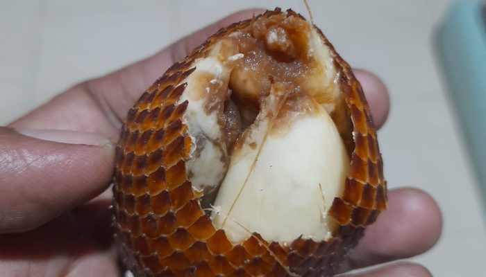 Buah Busuk dan Berbelatung MBG Dibagikan di Langsa, Warga Soroti Kualitas Pengawasan