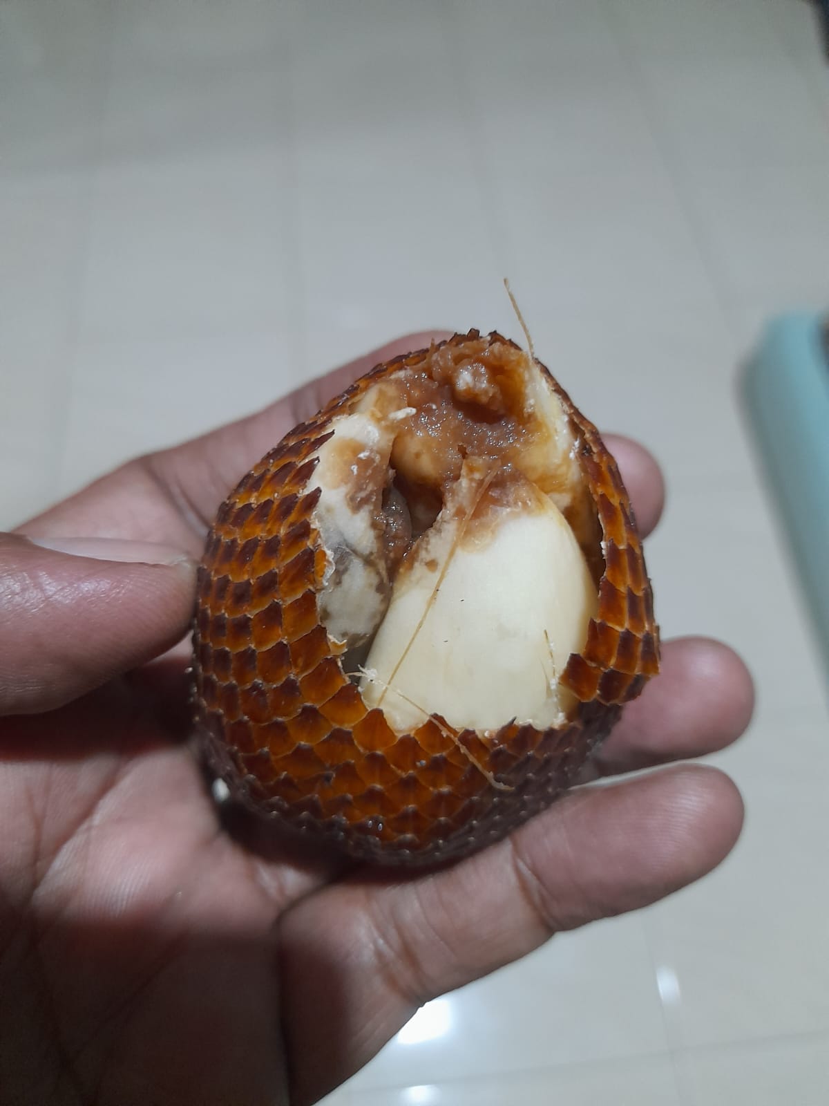 Foto kondisi buah tambahan program Makan Bergizi Gratis (MBG) yang busuk dan tidak layak konsumsi di sebuah sekolah di Kota Langsa.