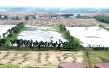 Aktivitas di area Kebun Cot Girek dengan latar konflik lahan antara masyarakat dan PTPN IV Regional VI yang sedang dalam proses penyelesaian secara hukum dan dialogis